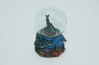 Obrázek z Sněžítko žralok obrovský 6,5cm (6) 